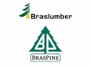 Braspine.jpeg